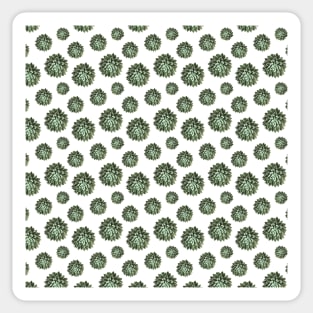 Green Succulent White Background Pattern Sticker